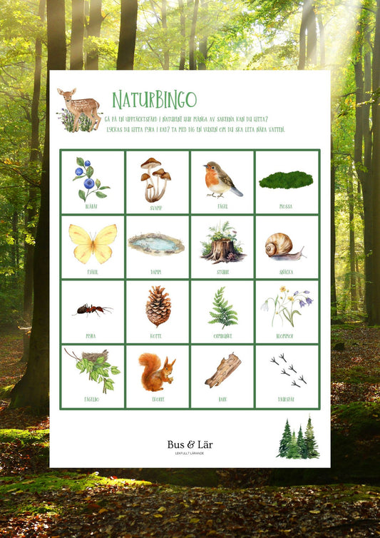 Naturbingo