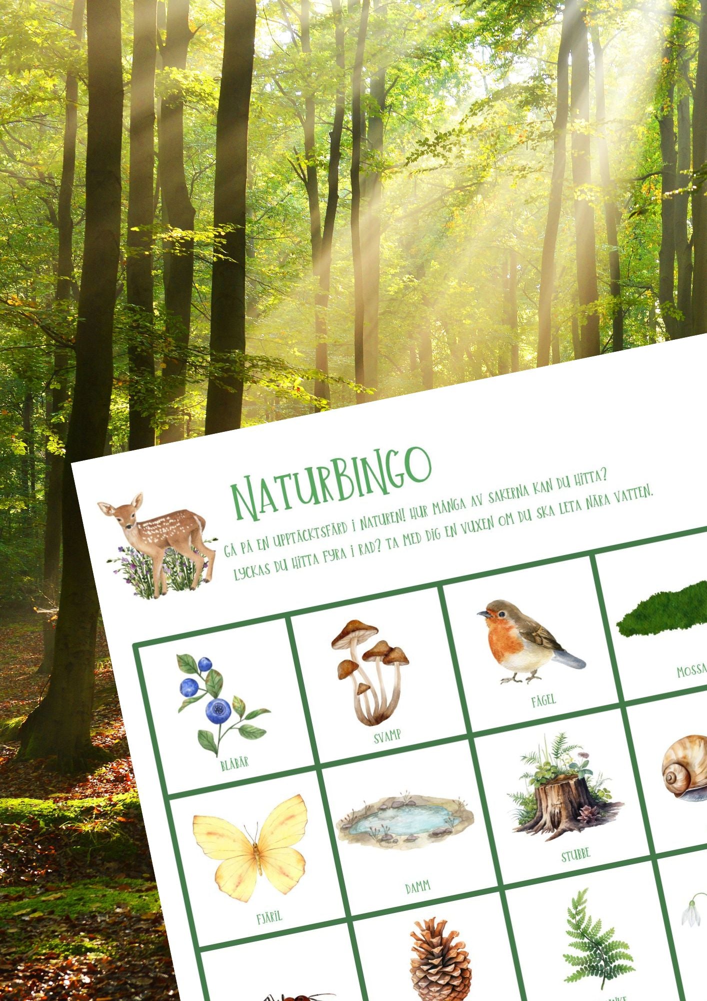 Naturbingo